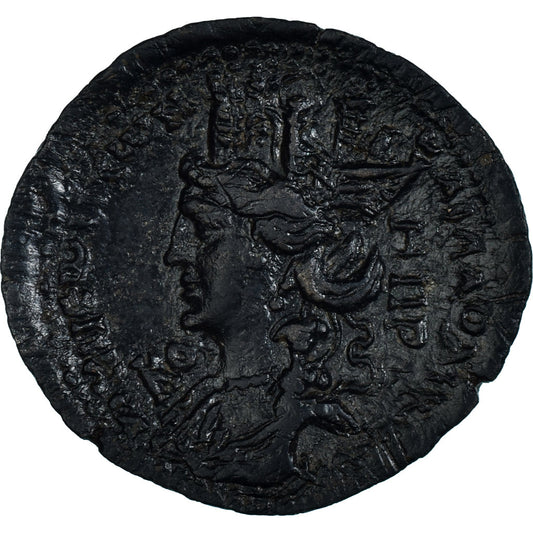 Mince,
Seleucis a Pieria,
Antoninus Pius