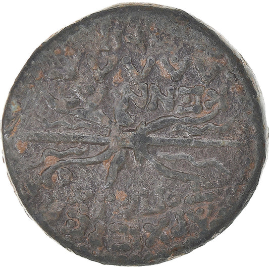 Mince,
kilicie,
Pseudoautonomní