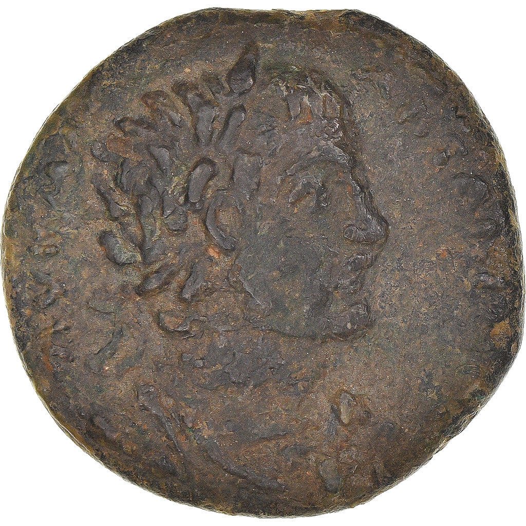 Mince,
kilicie,
Caracalla