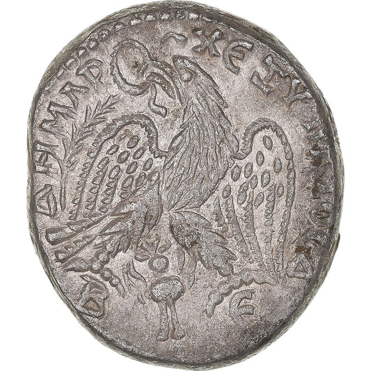 Mince,
cyrrhestica,
Macrinus