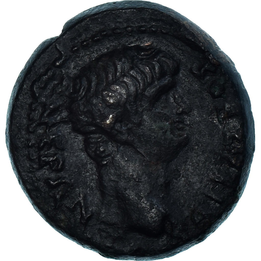 Mince,
Frygie,
Nero