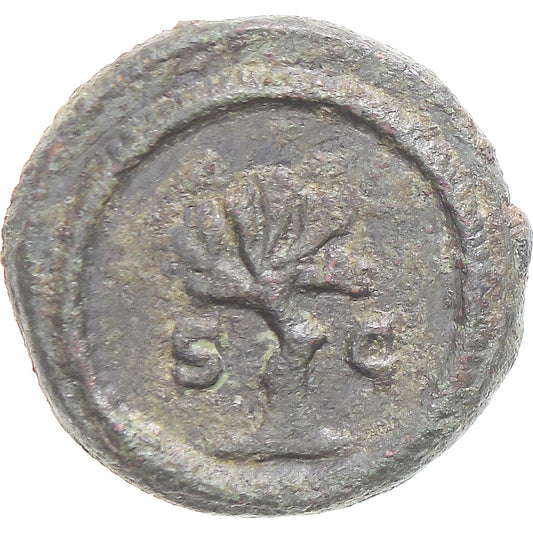 Mince,
Antoninus Pius,
Kvadrany