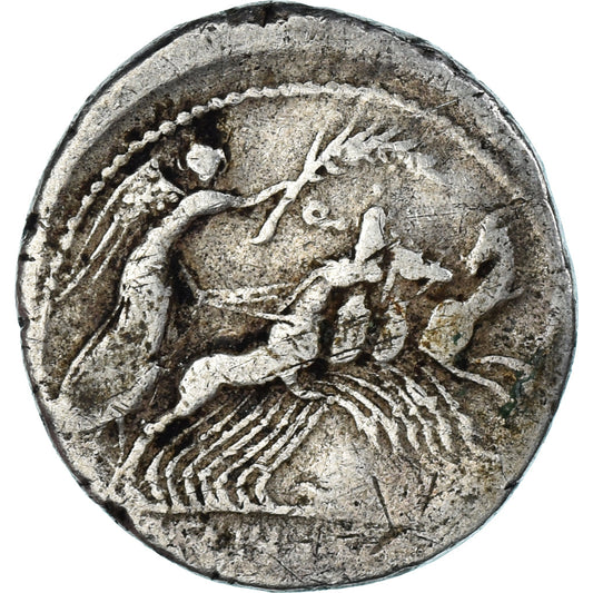 Mince,
Fabia,
denár