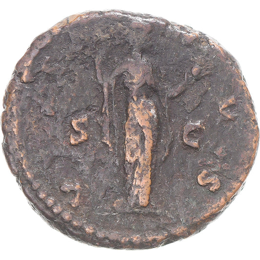Mince,
Lucilla,
Jak