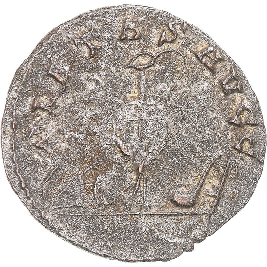 Mince,
Saloninus,
Antoninianus