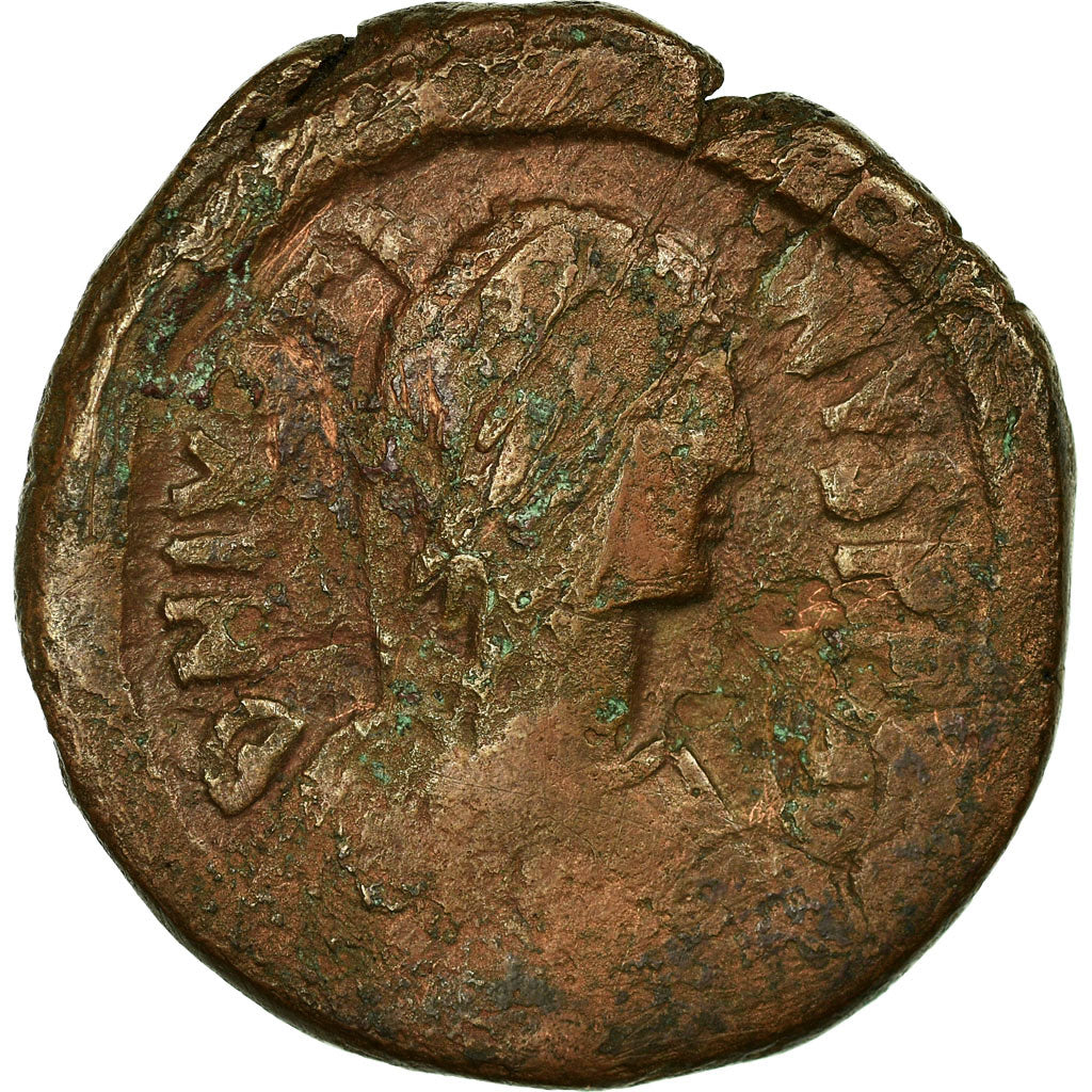 Mince,
Justine já,
Follis