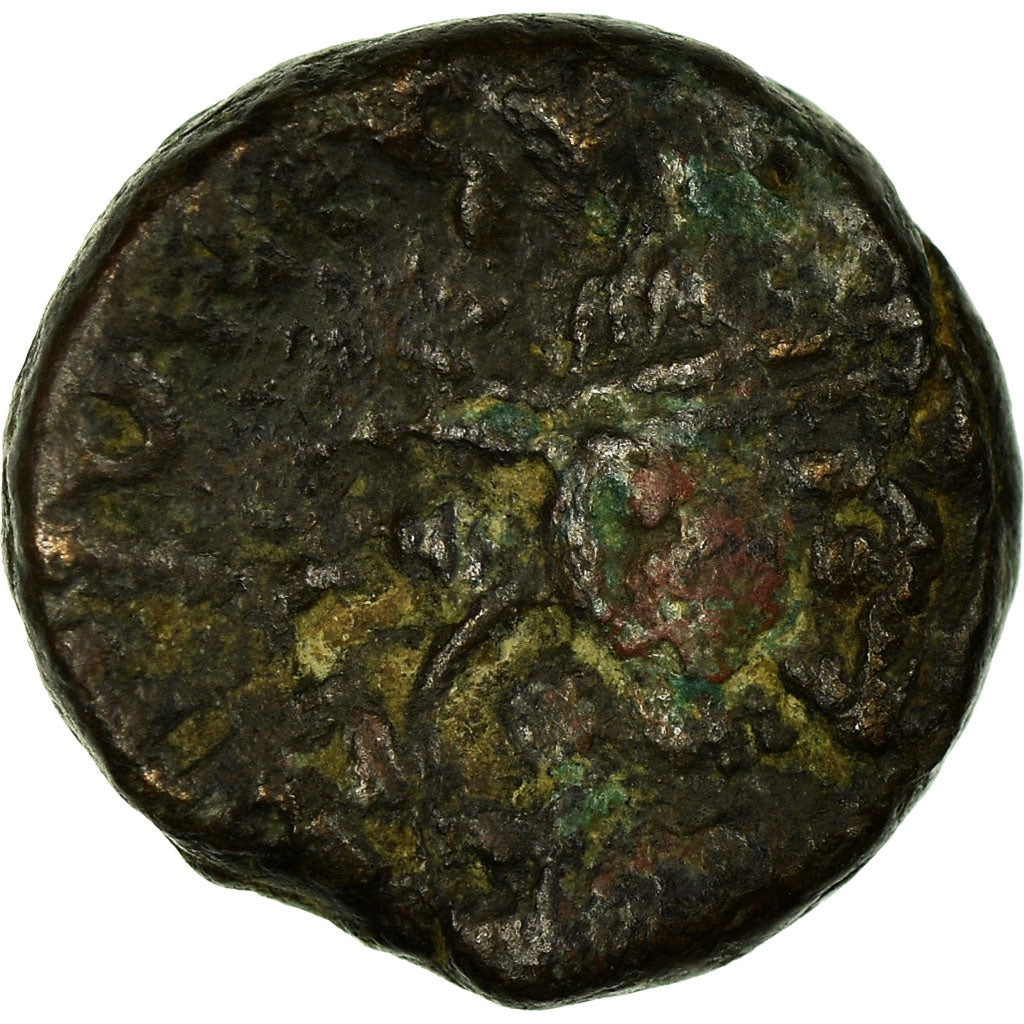 Mince,
Justin II,
12 Nummi