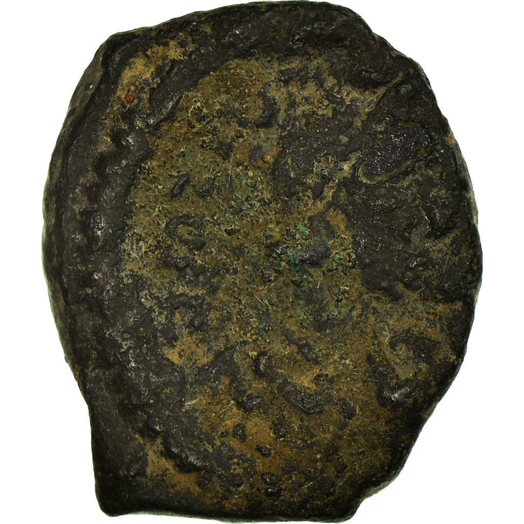 Mince,
phocas,
Pentanum