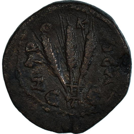 Mince, 
  
  Kappadokie, 
  
  Severus Alexander