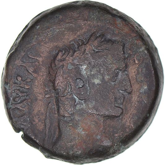 Mince, 
  
  Egypt, 
  
  Claudius