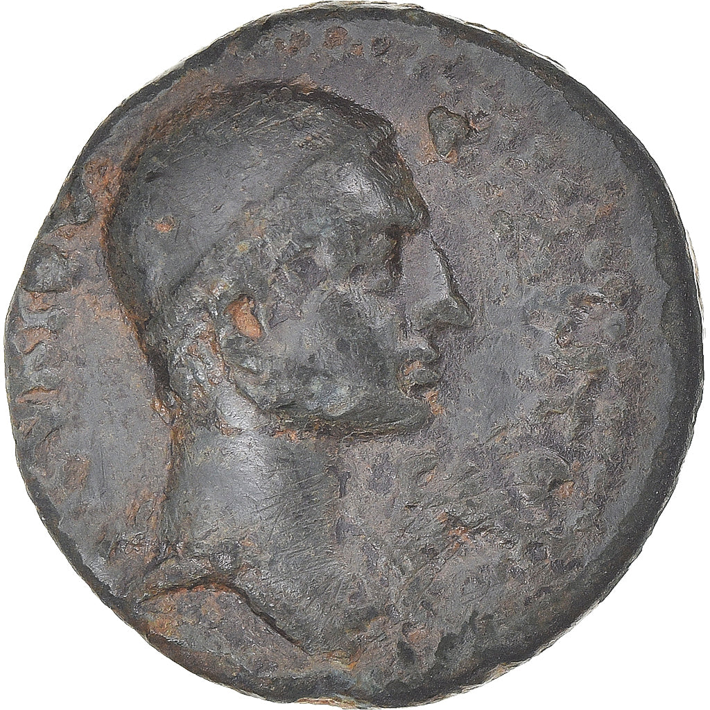 Mince, 
  
  kilicie, 
  
  Pseudoautonomní