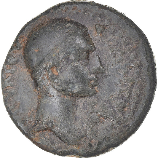 Mince, 
  
  kilicie, 
  
  Pseudoautonomní