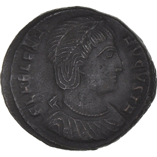 Mince, 
  
  Helena, 
  
  Follis