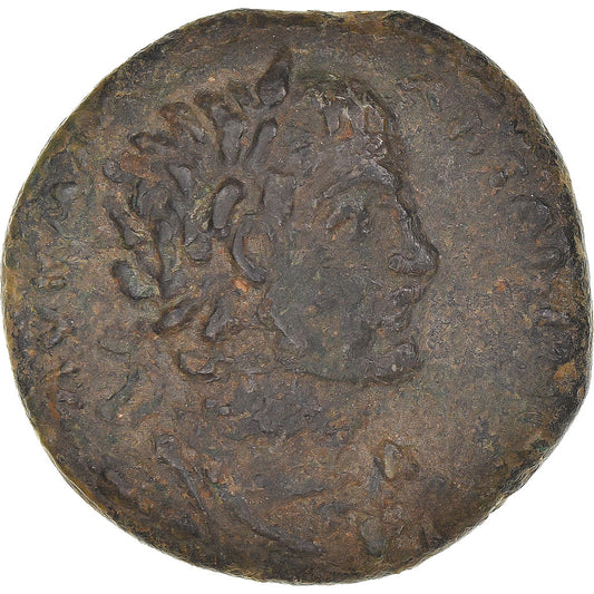 Mince, 
  
  kilicie, 
  
  Caracalla