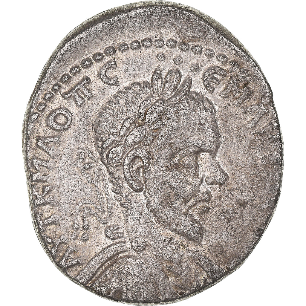 Mince, 
  
  cyrrhestica, 
  
  Macrinus