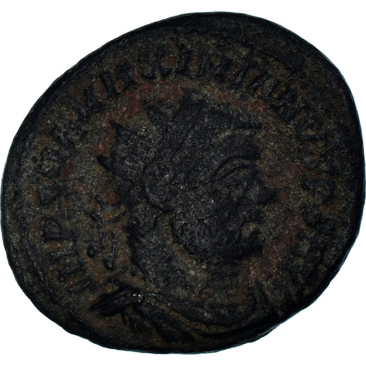 Mince, 
  
  Maximianus, 
  
  Follis