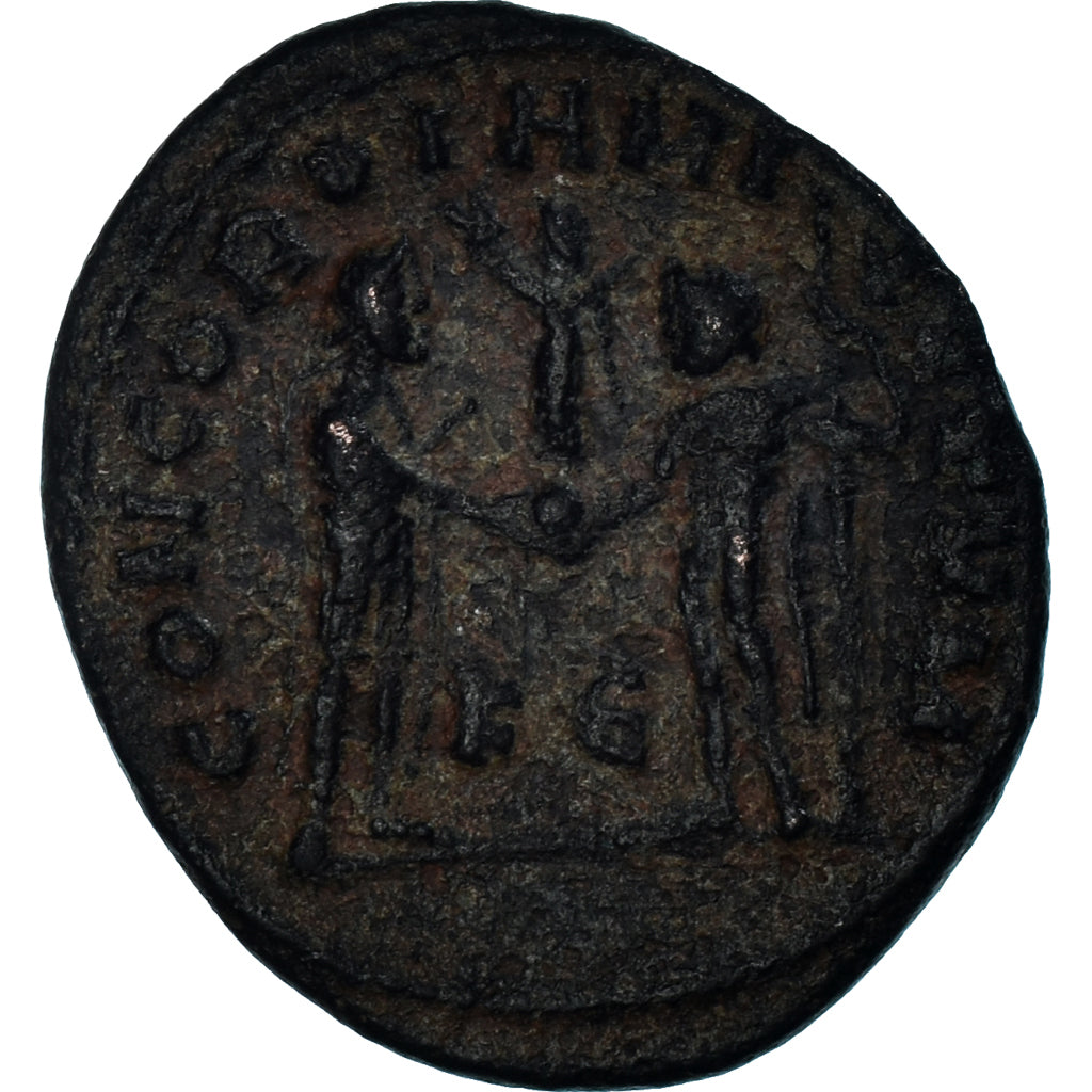 Mince, 
  
  Maximianus, 
  
  Follis