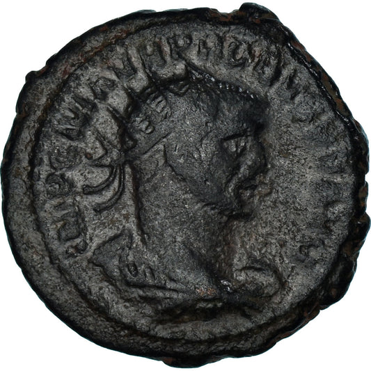 Mince, 
  
  Probus, 
  
  Antoninianus
