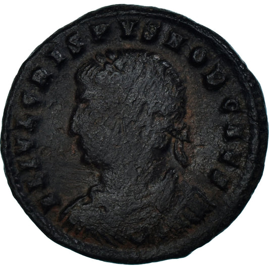 Mince, 
  
  crispus, 
  
  Follis