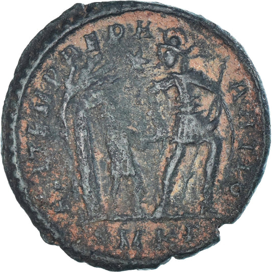 Mince, 
  
  Constans, 
  
  Maiorina