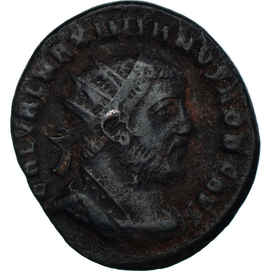 Mince, 
  
  Maximien Hercule, 
  
  Antoninianus