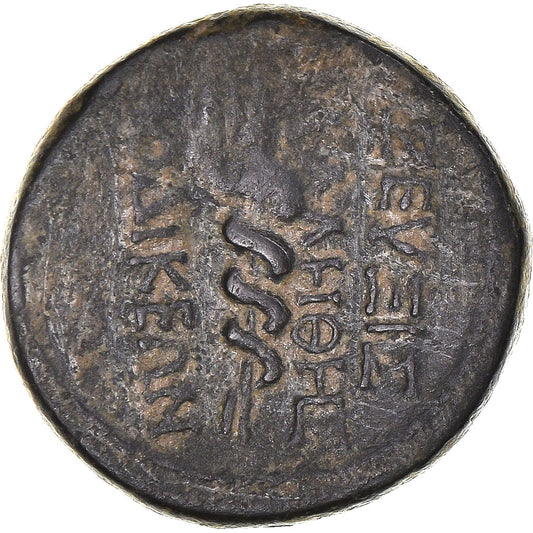 Mince, 
  
  Frygie, 
  
  Augustus