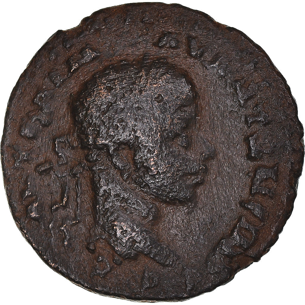 Mince, 
  
  Seleucis a Pieria, 
  
  Elagabalus a Julia Maesa
