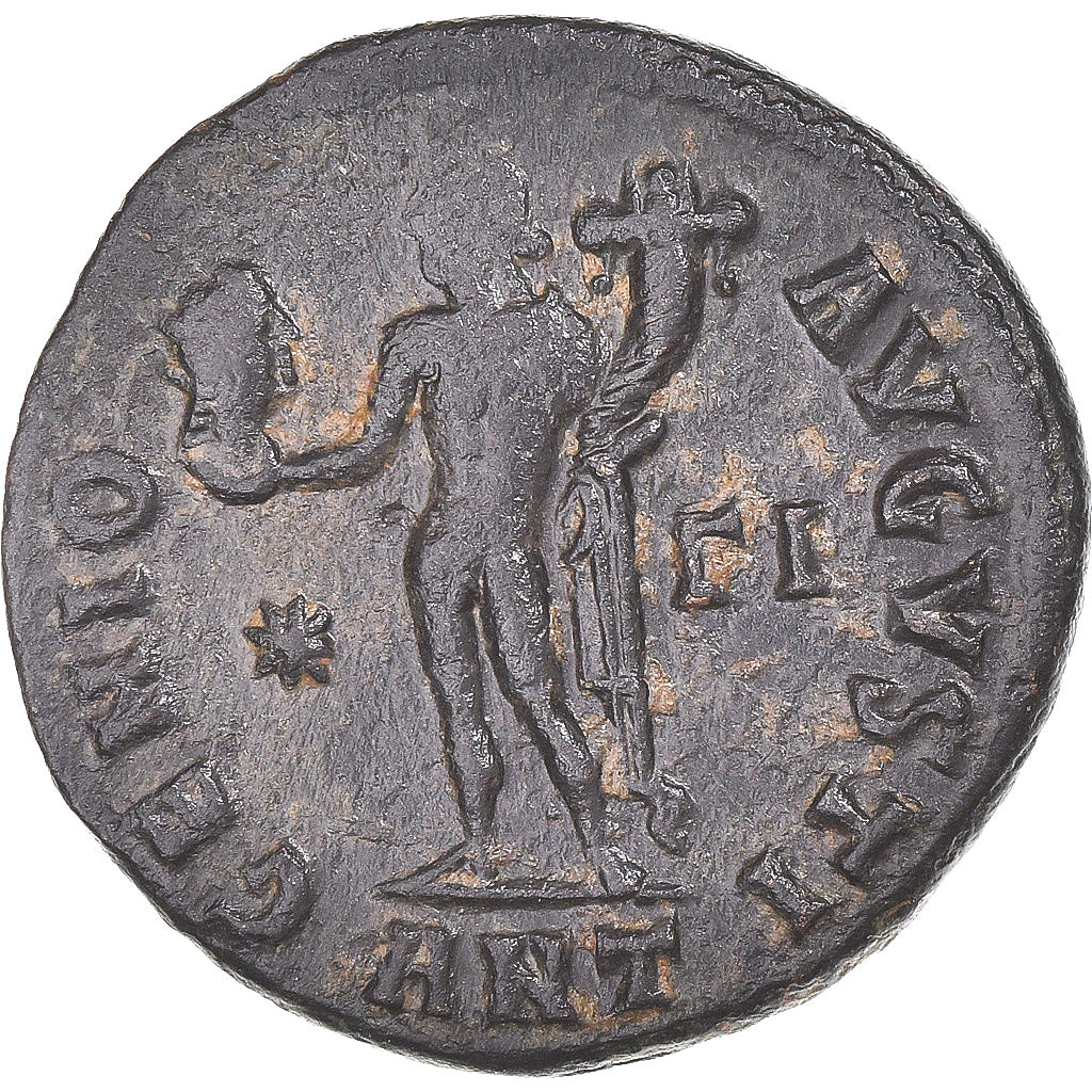 Mince, 
  
  Maximinus II, 
  
  Follis