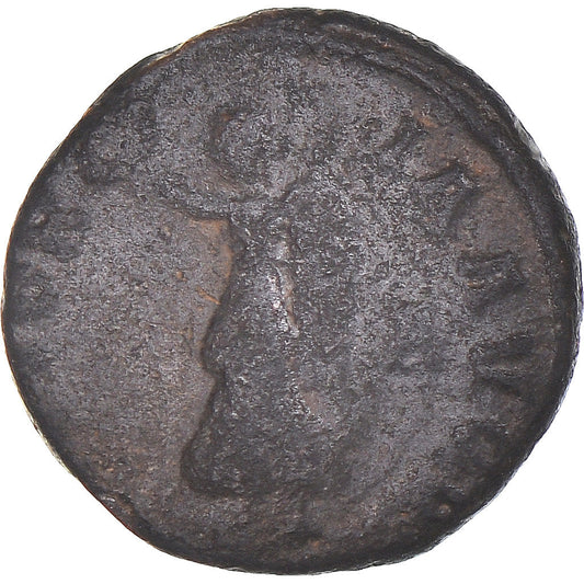 Mince, 
  
  čas Maximina II. 
  
  Follis
