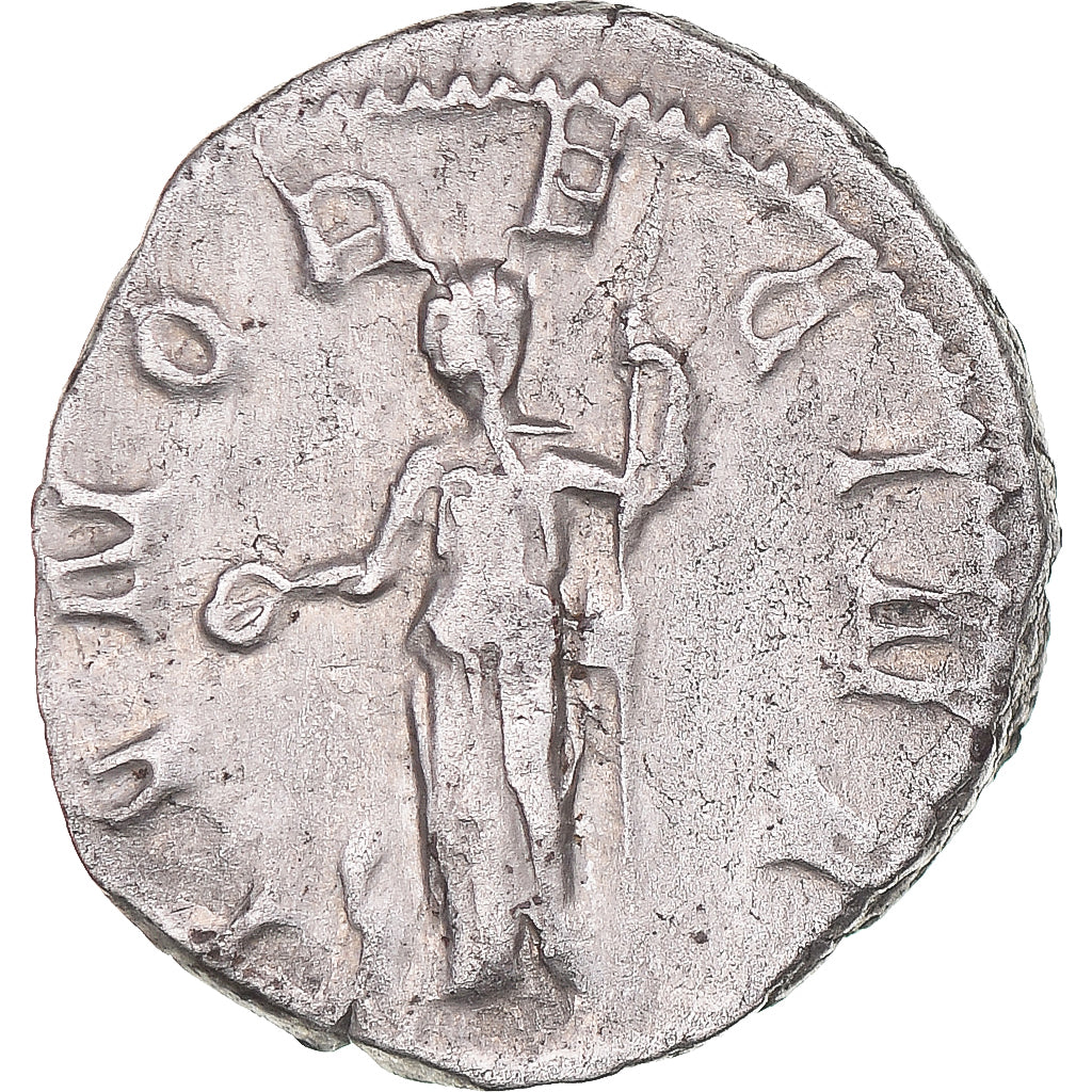 Mince, 
  
  Herennia Etruscilla, 
  
  Antoninianus