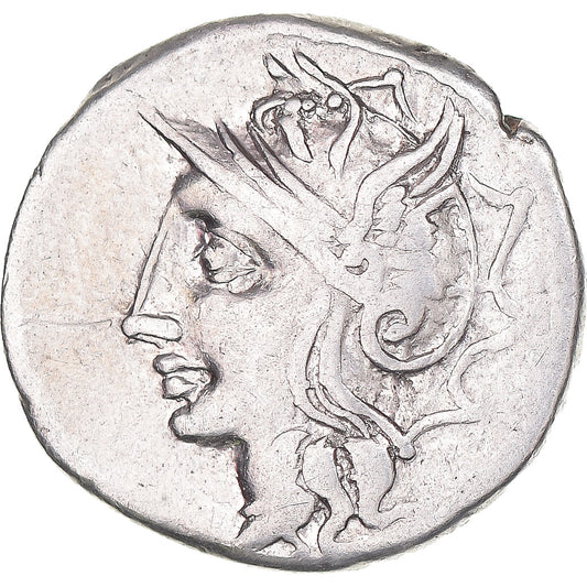 Mince, 
  
  Appuleia, 
  
  denár