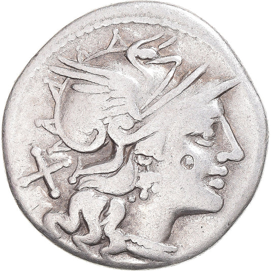 Mince, 
  
  Safra, 
  
  denár