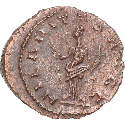 Mince, 
  
  Tetricus I, 
  
  Antoninianus
