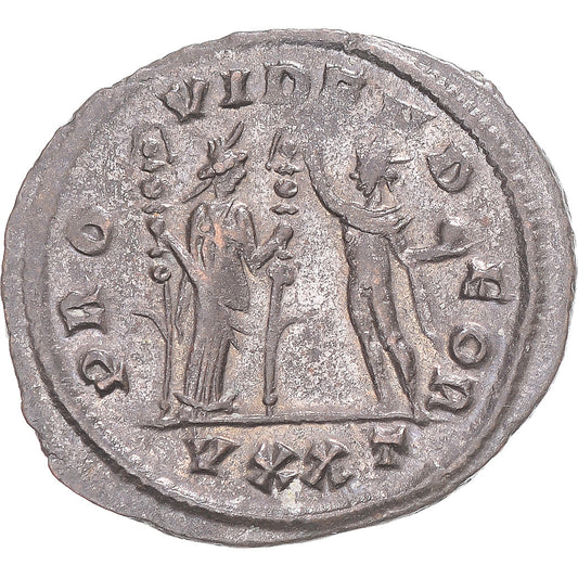 Mince, 
  
  Severina, 
  
  Antoninianus