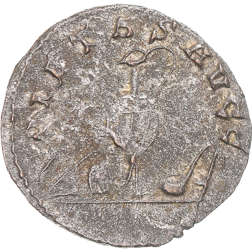 Mince, 
  
  Saloninus, 
  
  Antoninianus