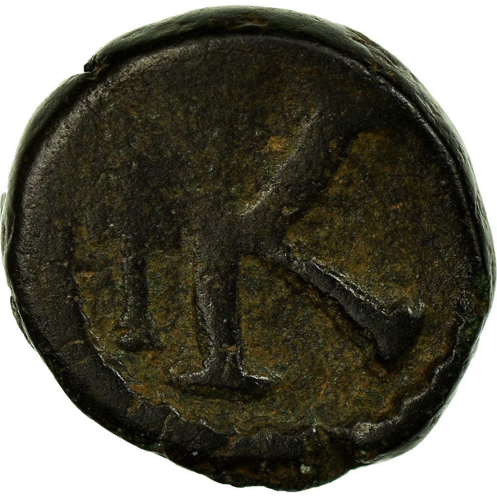 Mince, 
  
  Anastasius I. 
  
  Poloviční Follis