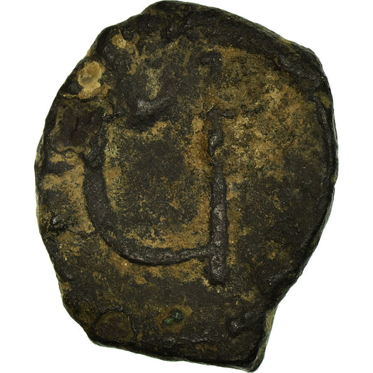 Mince, 
  
  phocas, 
  
  Pentanum