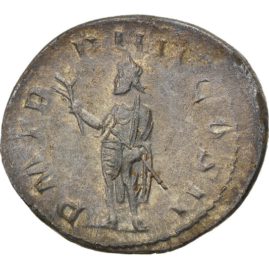 Mince, 
  
  Volusian, 
  
  Antoninianus