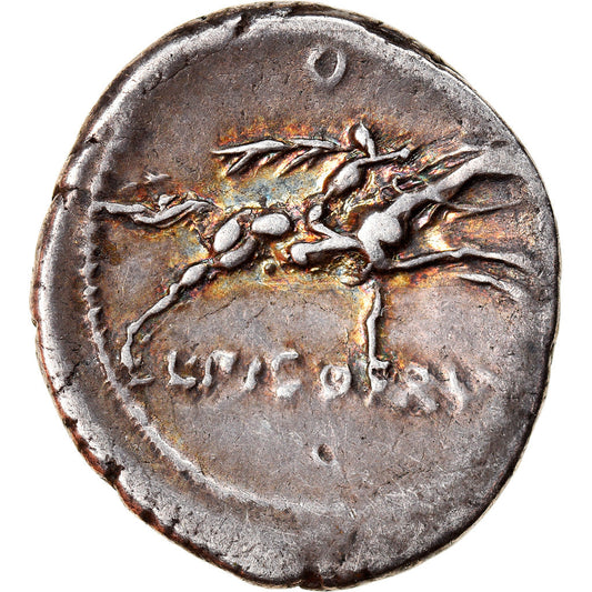 Mince, 
  
  Calpurnia, 
  
  denár