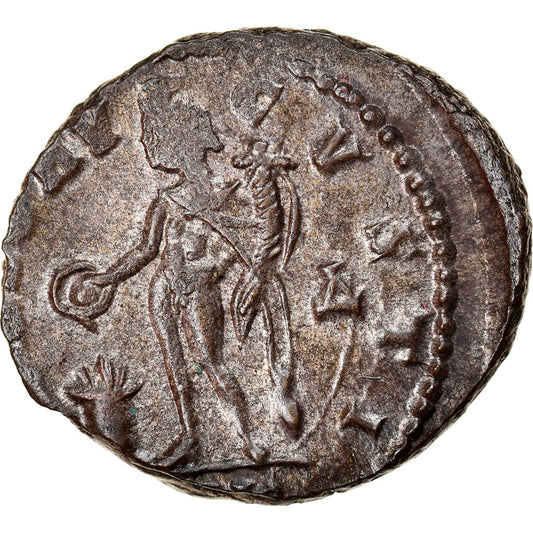 Mince, 
  
  Licinius I, 
  
  Follis