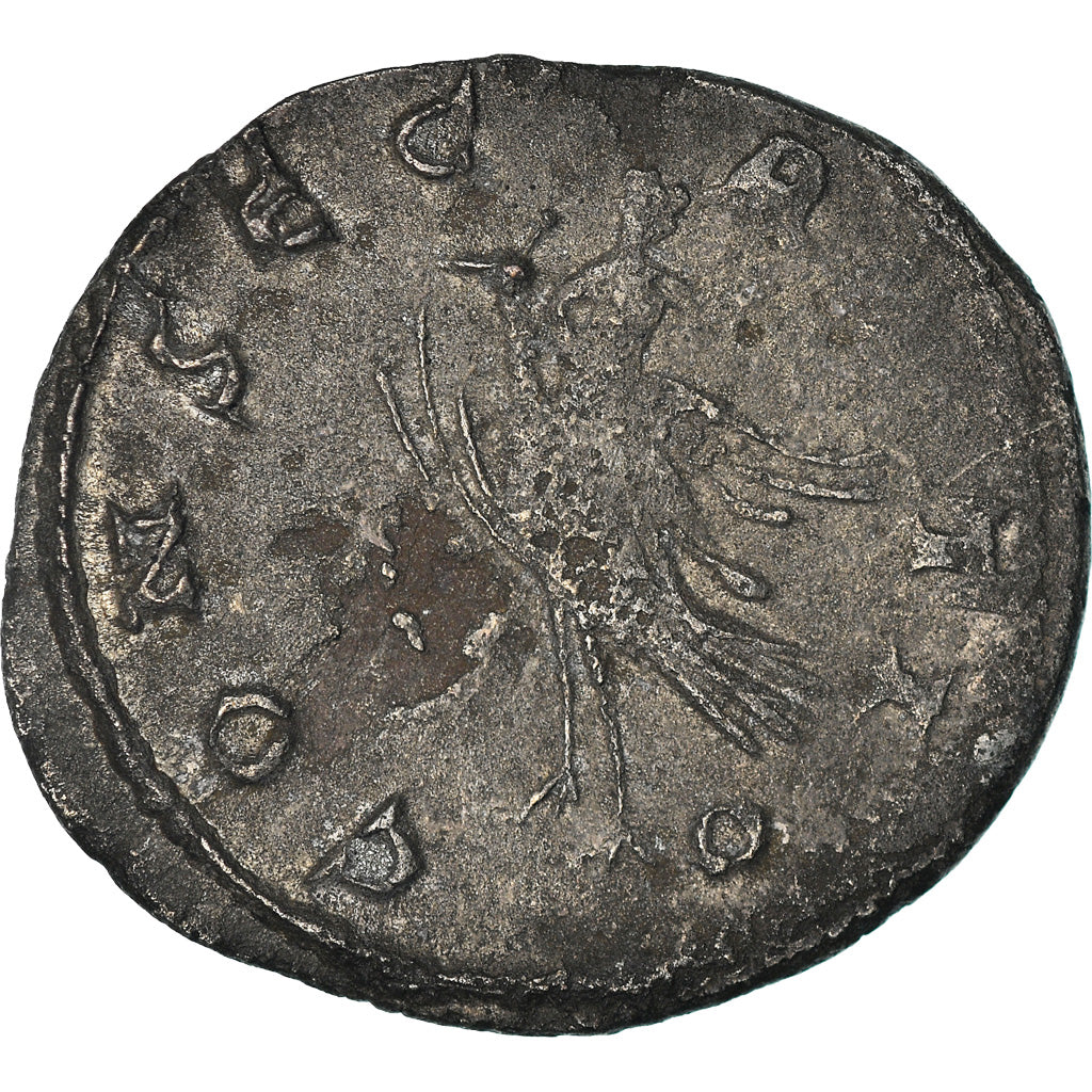 Mince, 
  
  mariniana, 
  
  Antoninianus