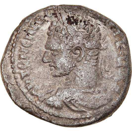Mince, 
  
  Seleucis a Pieria, 
  
  Caracalla