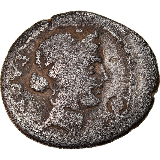 Mince, 
  
  Considius, 
  
  Quinarius